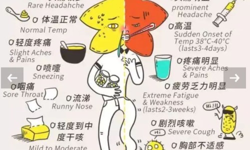 冷冻治疗鼻息肉效果好吗-冷冻治疗鼻息肉效果好吗网 - 网站提供鼻炎做冷冻治疗是什么意思小常识、鼻部冷冻法治疗一次多少钱啊
